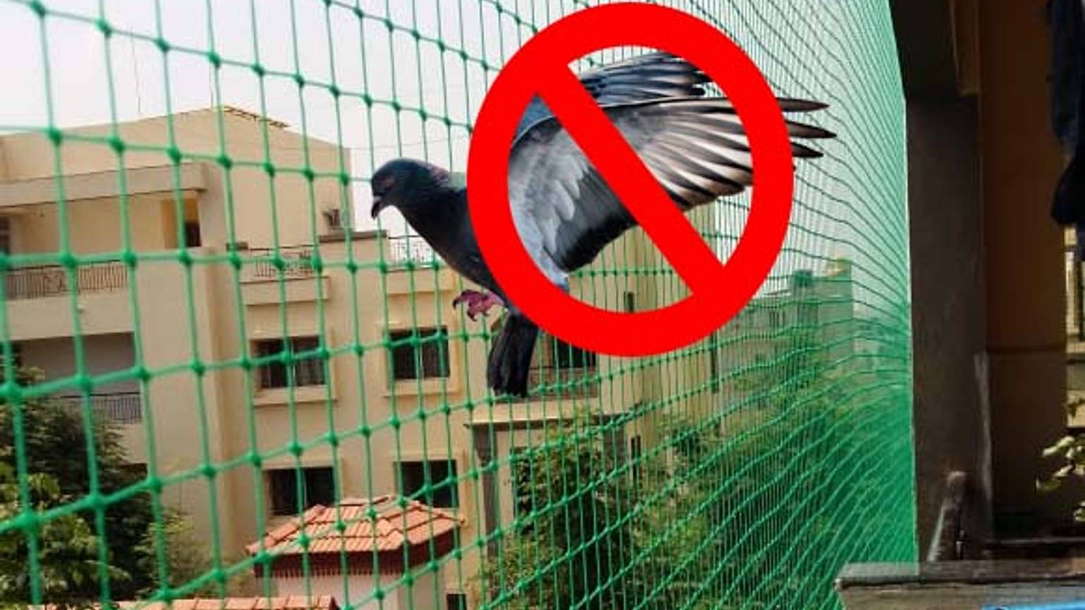 Pigeon Safety Nets in Jaipur